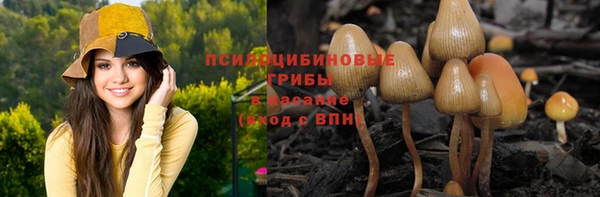 a pvp Мегион
