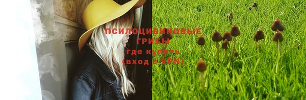 мет Медвежьегорск