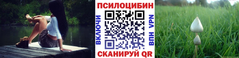 купить закладку  площадка наркотические препараты  Галлюциногенные грибы Psilocybe  Заволжск 
